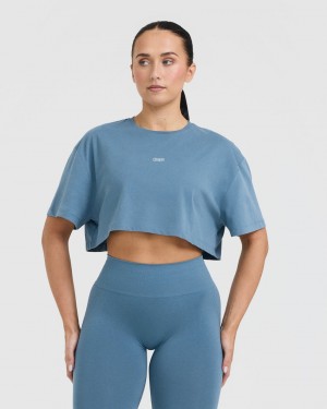 Oner Active Classic Oner Grafisk Crop Lette T Shirts Blå | 059-YJZLEP