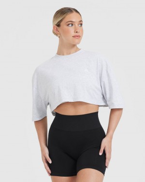 Oner Active Classic Relaxed Crop Lette T Shirts Lysegrå | 264-QZIAJR