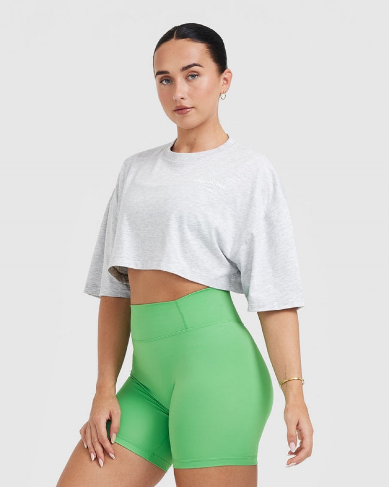 Oner Active Classic Lifters Grafisk Relaxed Crop Lette T Shirts Lysegrå | 107-JRVMCG