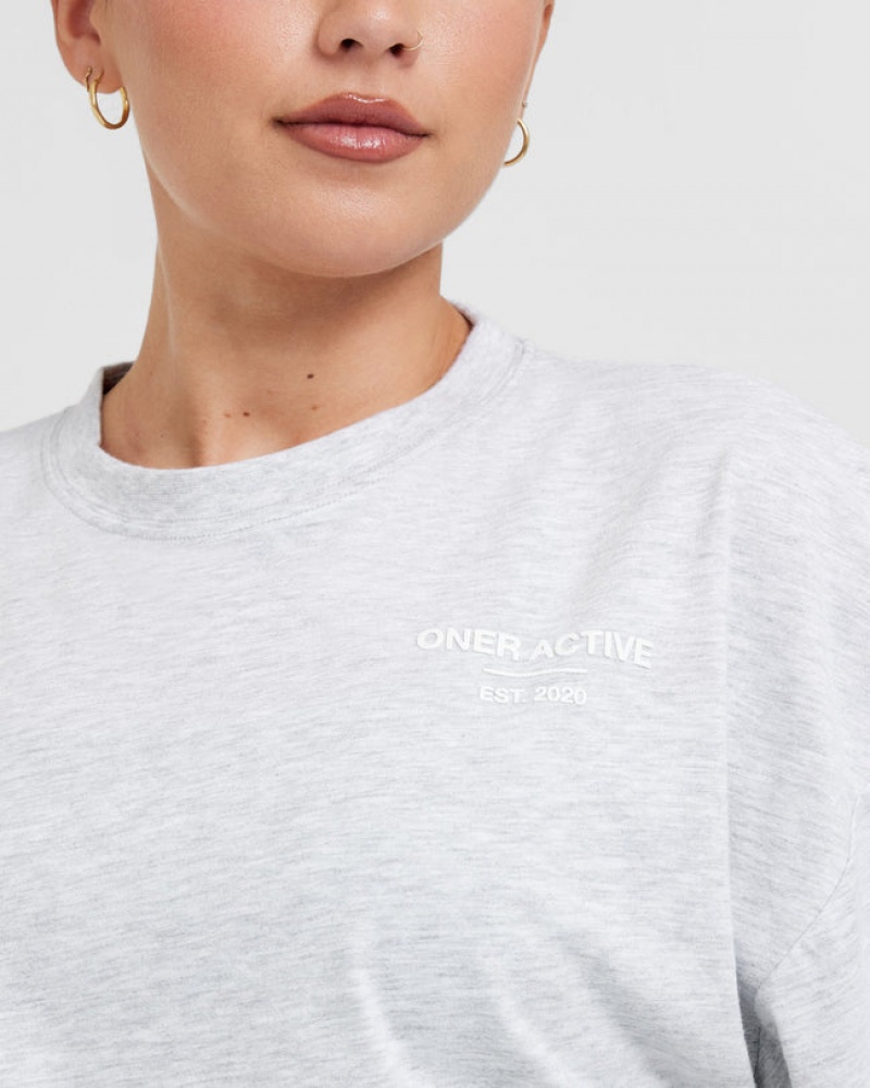 Oner Active Classic Lifters Grafisk Relaxed Crop Lette T Shirts Lysegrå | 107-JRVMCG