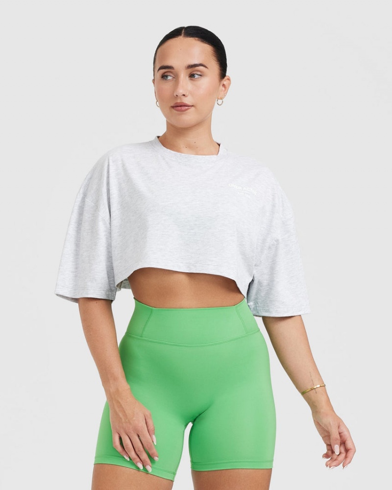 Oner Active Classic Lifters Grafisk Relaxed Crop Lette T Shirts Lysegrå | 107-JRVMCG