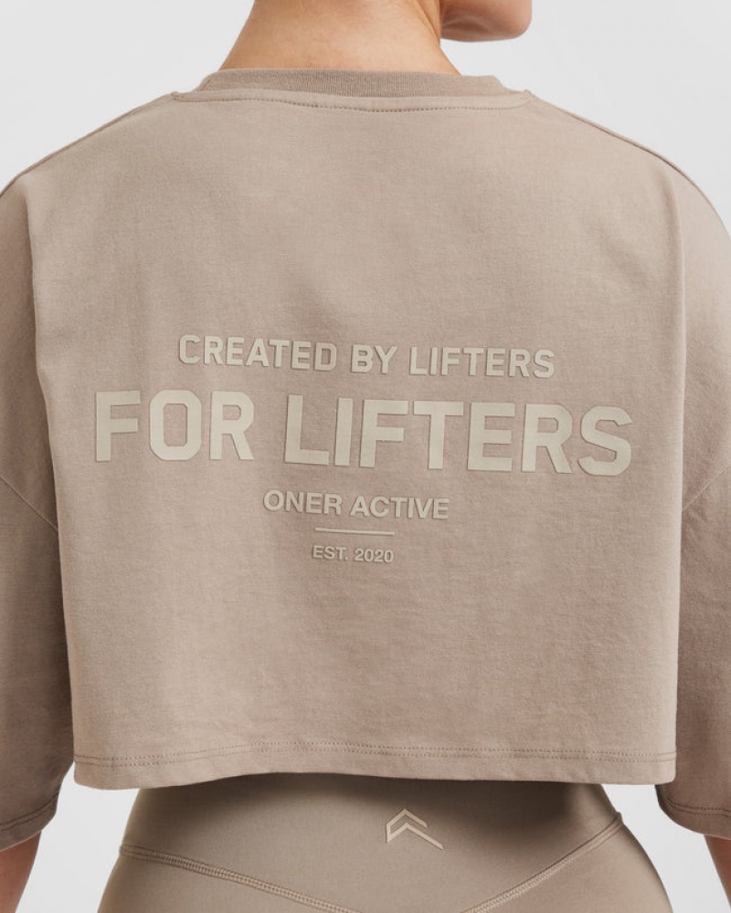 Oner Active Classic Lifters Grafisk Relaxed Crop Lette T Shirts Grå | 719-JKQESL