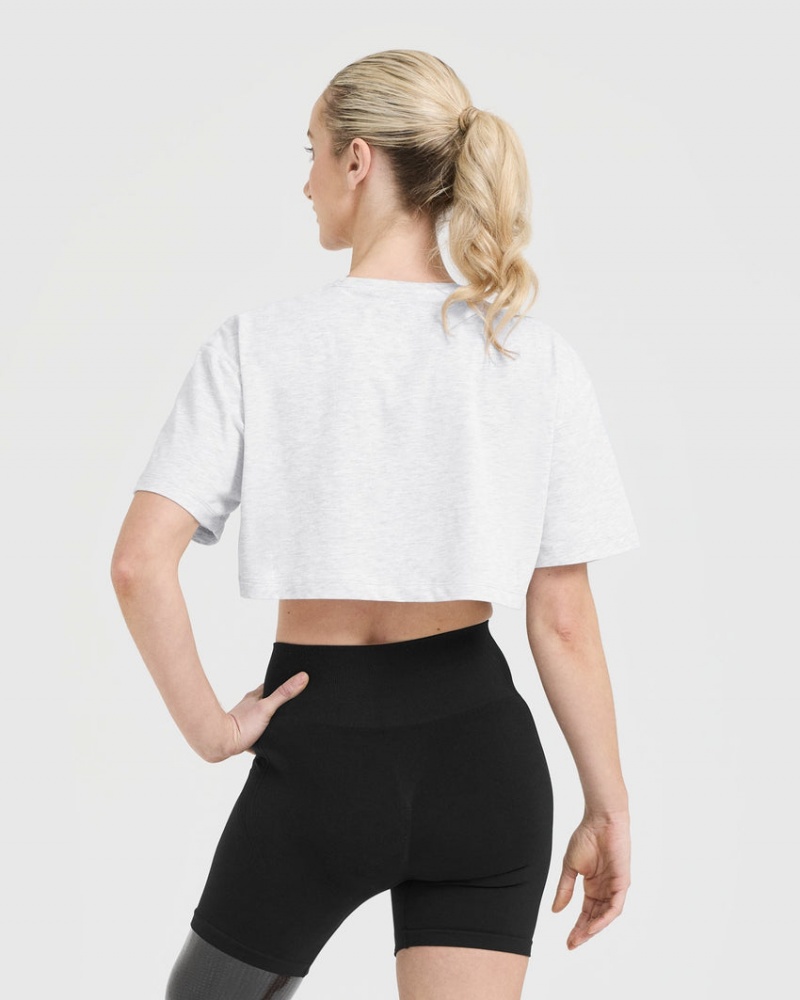 Oner Active Classic Oner Grafisk Crop Lette T Shirts Lysegrå | 413-QYDXMF