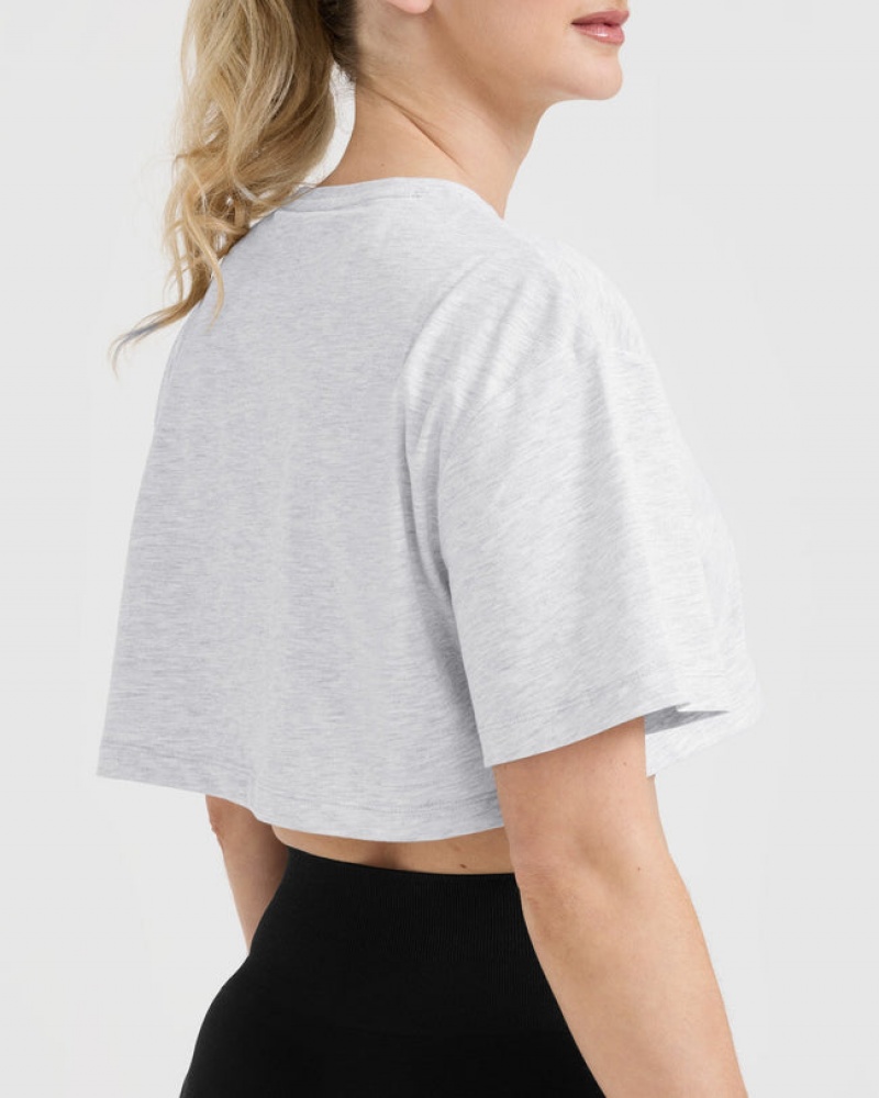 Oner Active Classic Oner Grafisk Crop Lette T Shirts Lysegrå | 413-QYDXMF