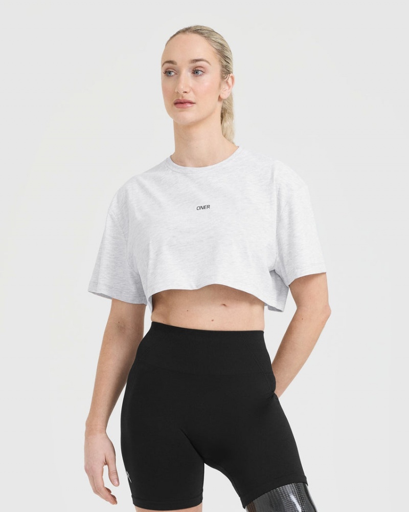 Oner Active Classic Oner Grafisk Crop Lette T Shirts Lysegrå | 413-QYDXMF