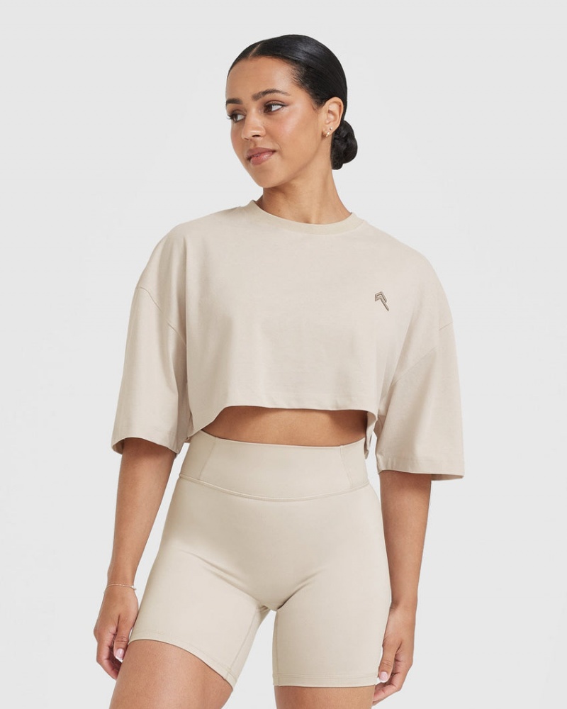 Oner Active Classic Relaxed Crop Lette T Shirts Brune | 438-QXHDZB