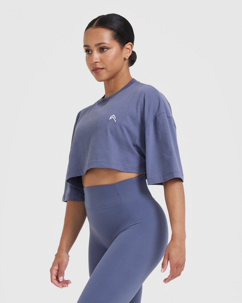 Oner Active Classic Relaxed Crop Lette T Shirts Blå | 852-CMFWVG