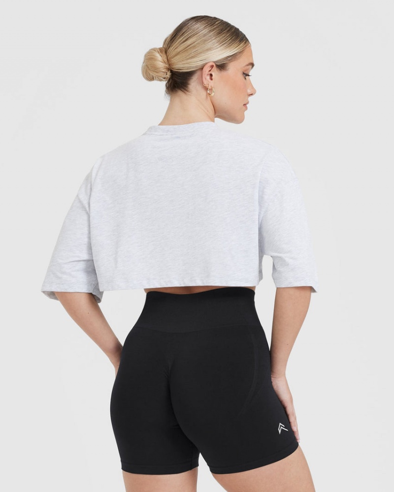 Oner Active Classic Relaxed Crop Lette T Shirts Lysegrå | 264-QZIAJR