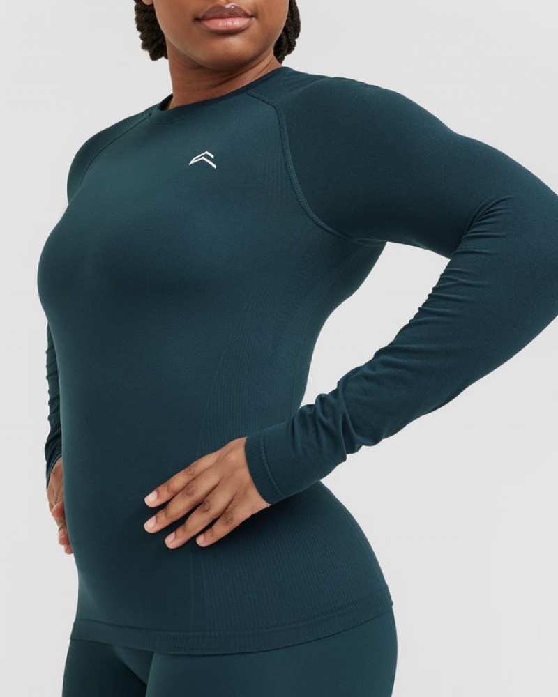 Oner Active Go To Seamless Fitted Long Sleeve T Shirts Blå | 407-BZJFDT