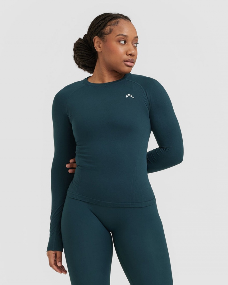 Oner Active Go To Seamless Fitted Long Sleeve T Shirts Blå | 407-BZJFDT