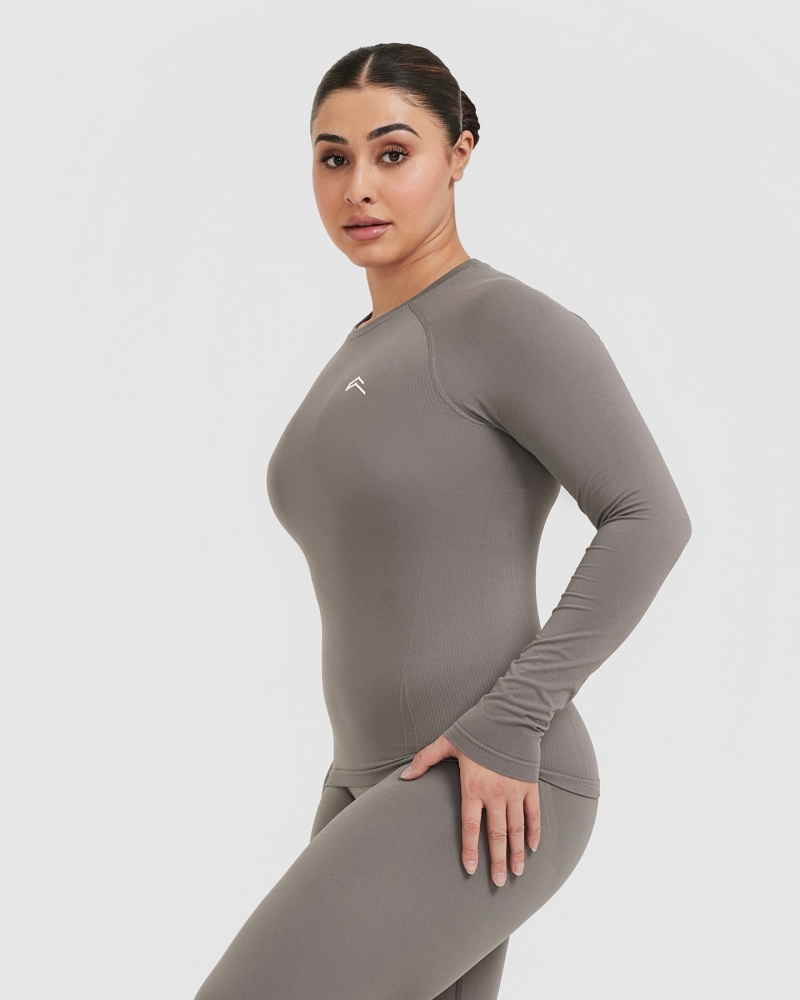 Oner Active Go To Seamless Fitted Long Sleeve T Shirts Grå | 381-ZJAHTU