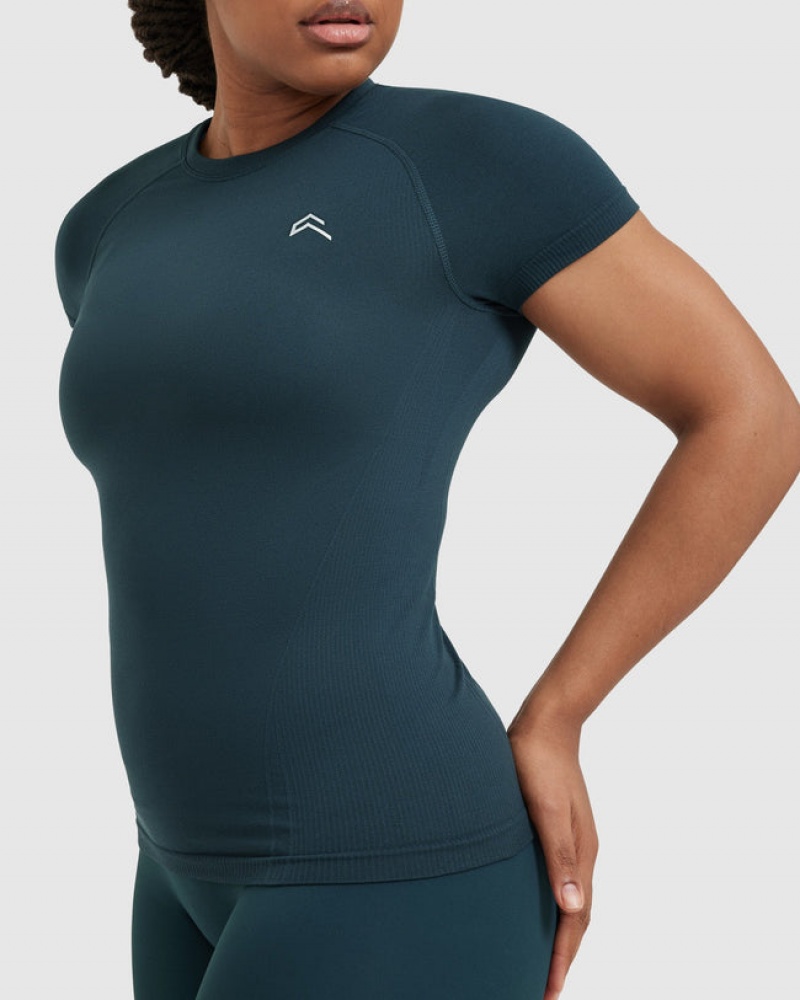 Oner Active Go To Seamless Fitted T Shirts Blå | 573-CNBUGS