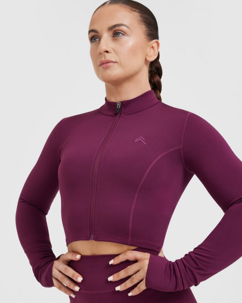 Oner Active Timeless Crop Sweatshirts Lilla | 409-HZOMRW